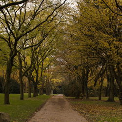 Herbstimpressionen